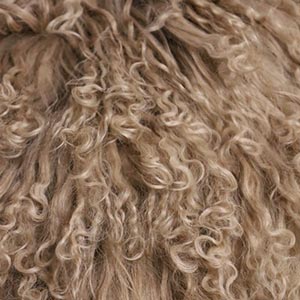 Bottega Beige