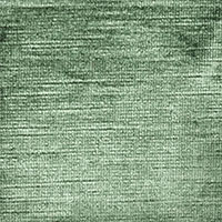 Eucalyptus