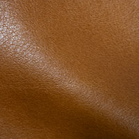 Nutmeg 8002