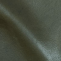 Sage 8016
