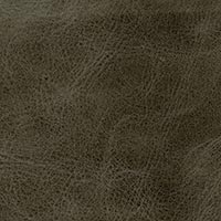 Sagestone 3010
