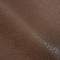 Bark 2731