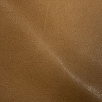 Camel 2476