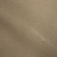 Desert 2815