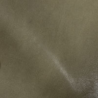 Light Olive 3007