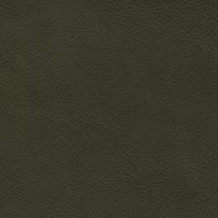 Underbrush 7025