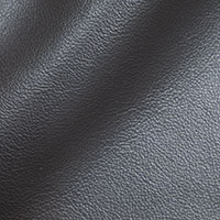 Graphite 1251