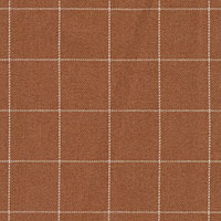 Vicuna