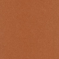 Vicuna
