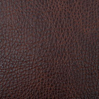 Chestnut 2560