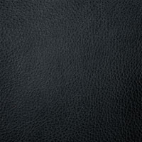 Coal 0550